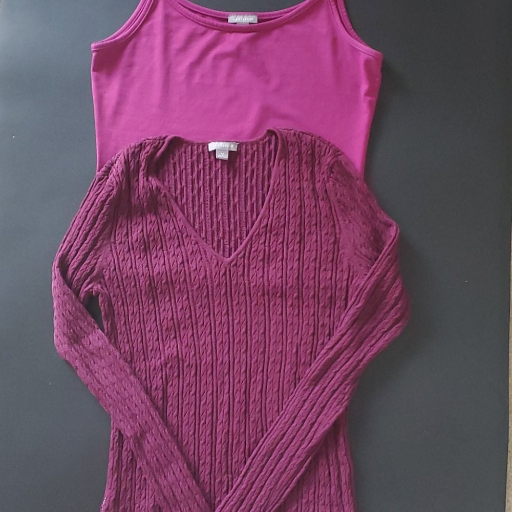 Ann Taylor Sweater and Camisole XS